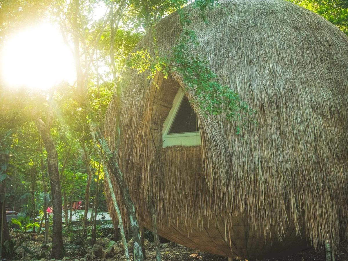 Casa Del Arbol At Villa Duendes Akumal Exterior photo